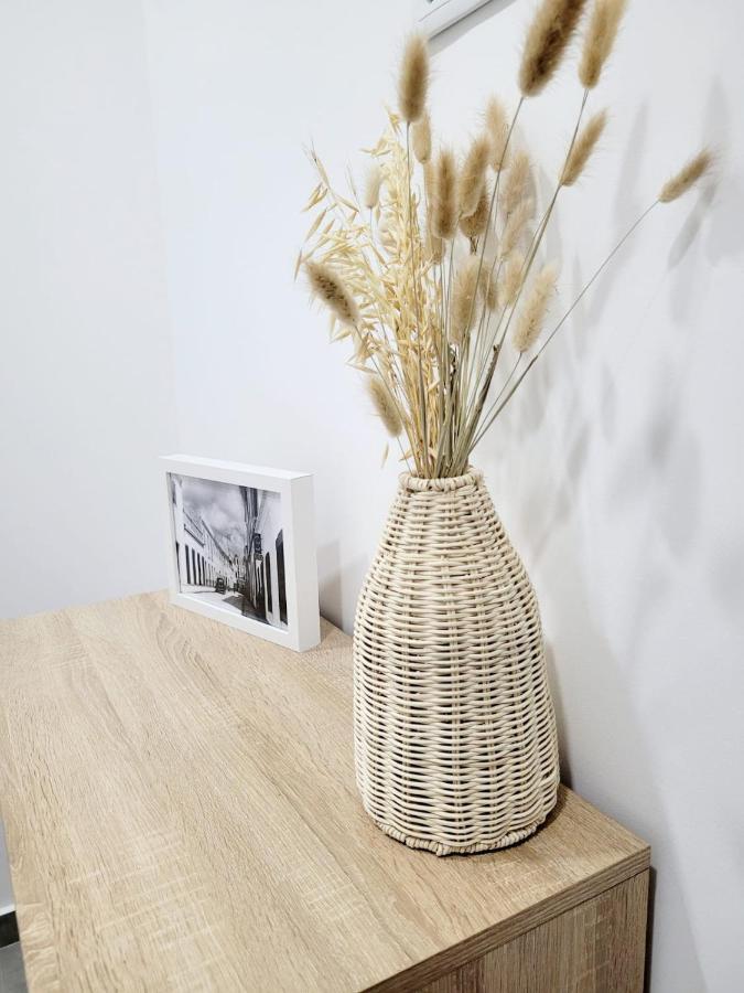 Penedo Grande T1 Apartment *
